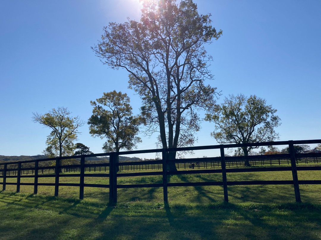 Racing Horse Grazing Farm-浦河町必去景点