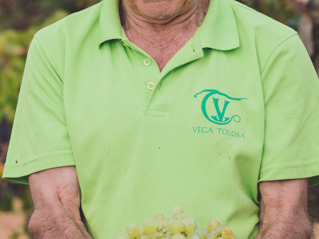 Bodega Vega Tolosa-Casas Ibanez必去景点