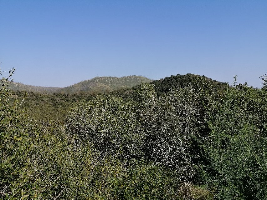 Oasi Naturalistica di Montenuovo景点图片