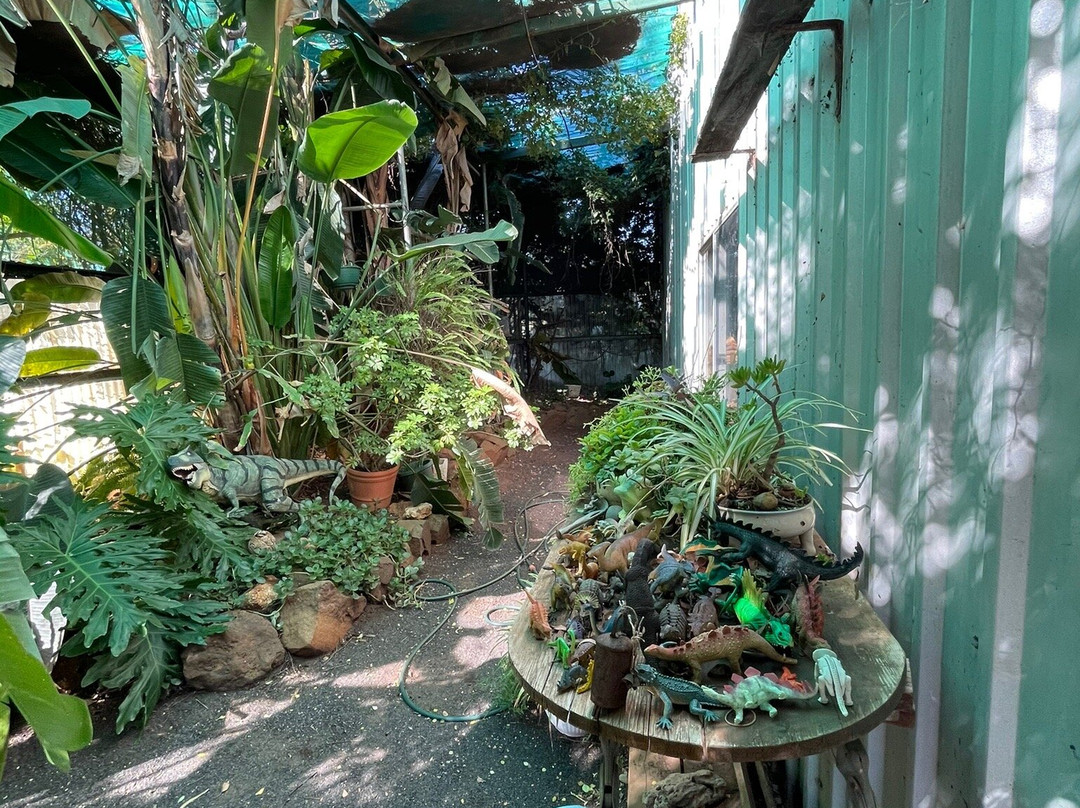 Alladins Cave Bottle House-达博必去景点