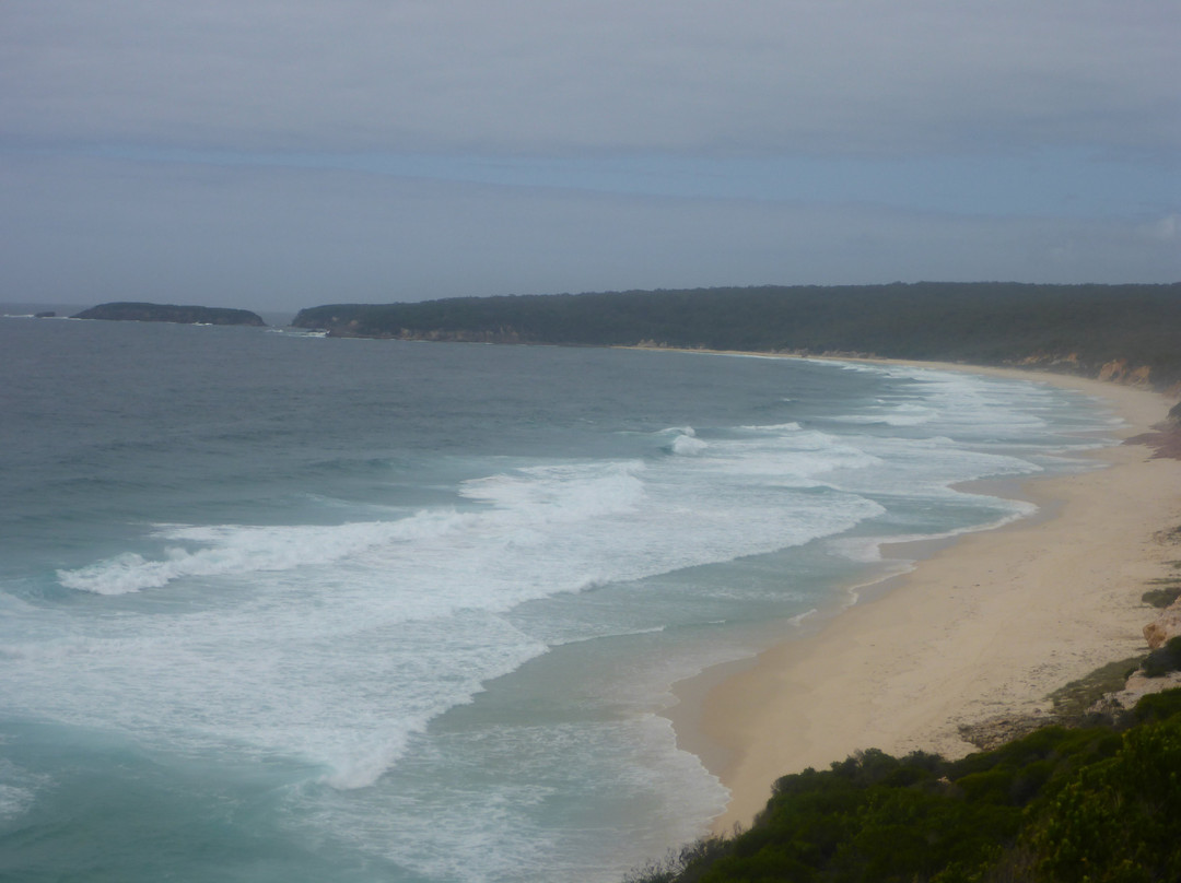 Pinnacles Beach-伊登港必去景点