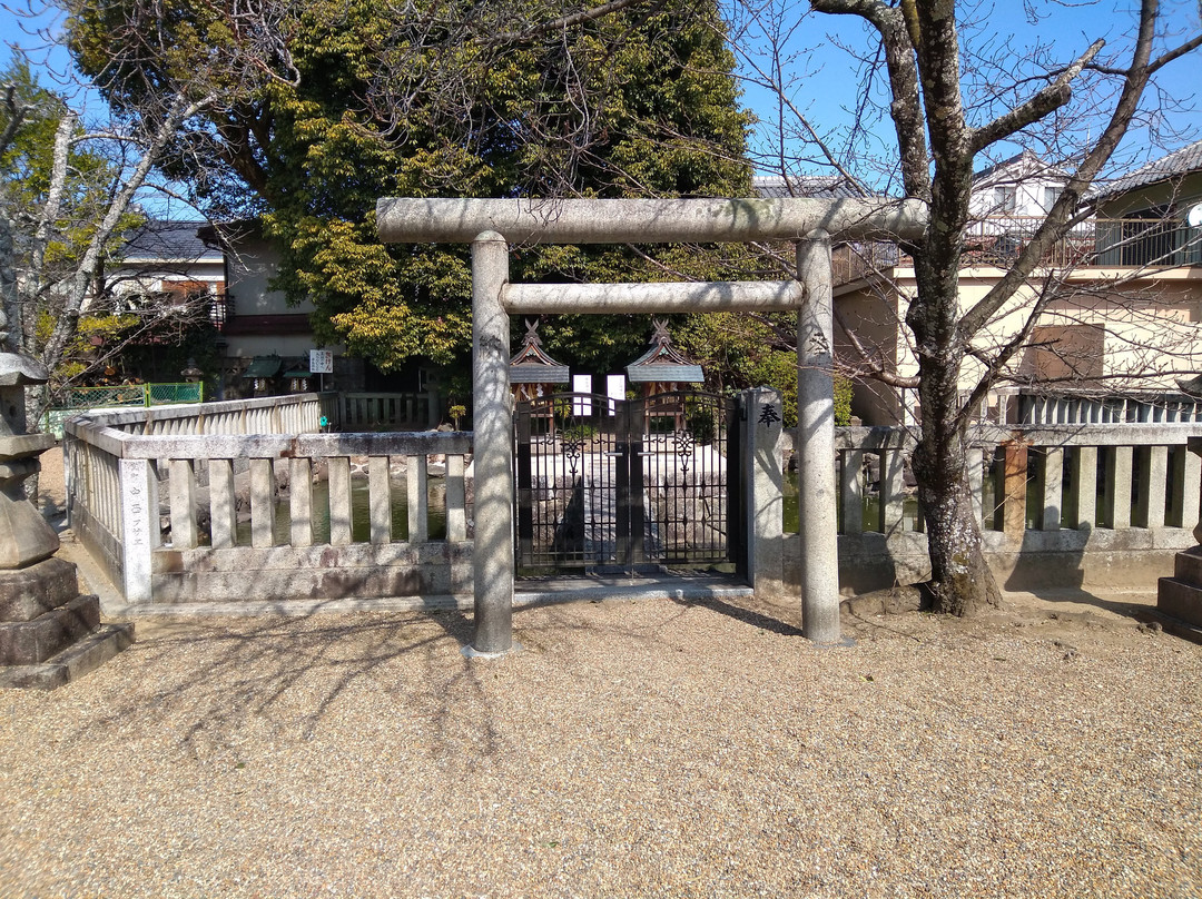 Tsushima Shrine景点图片