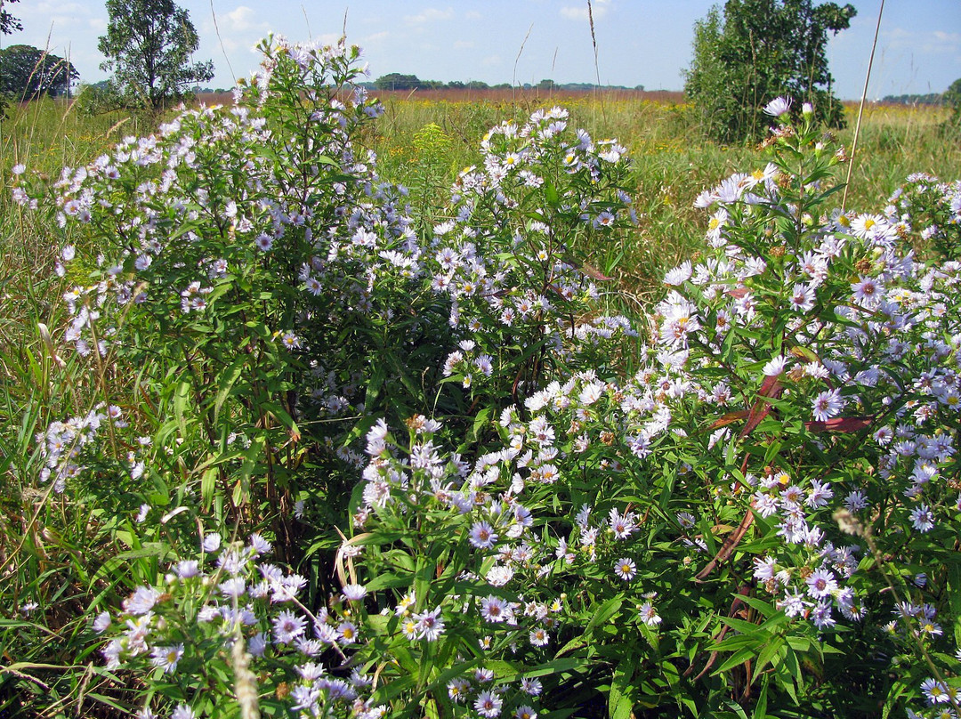 Governor Nelson State Park-Waunakee必去景点