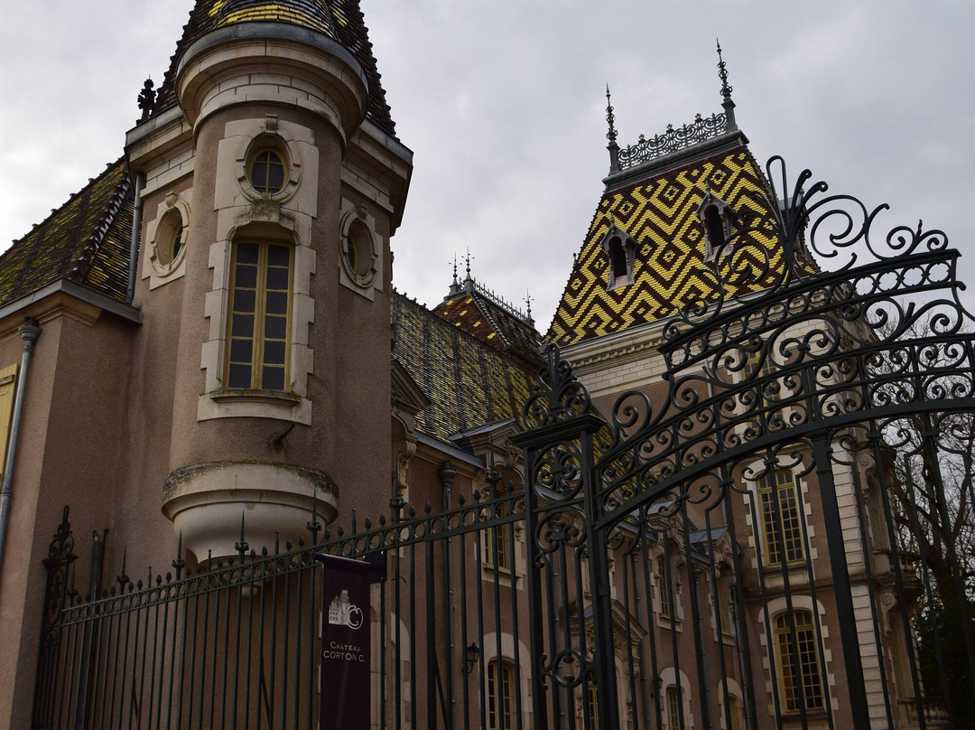Château Philippe Le Hardi景点图片