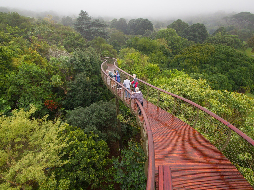 Durbanville wine hopper-Bellville必去景点