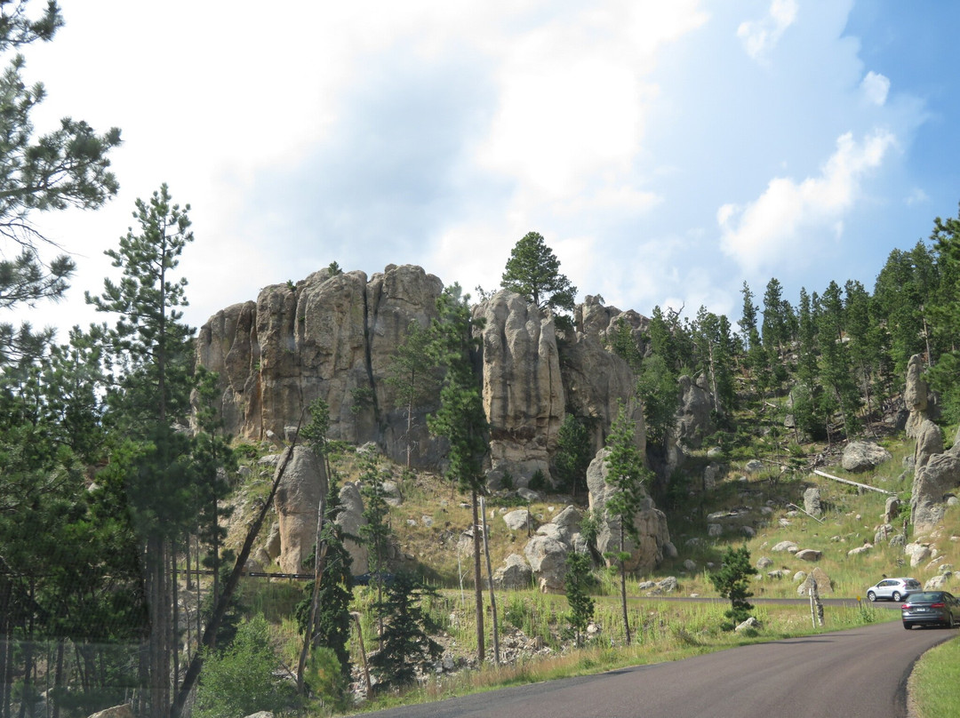 Peter Norbeck Scenic Byway-卡斯特必去景点