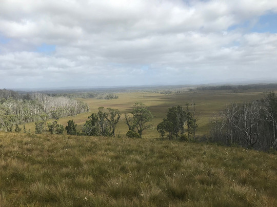 Dempster Plains Lookout-Smithton必去景点