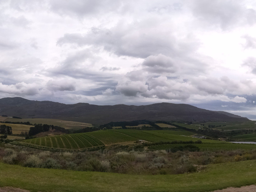 Domaine Des Dieux景点图片