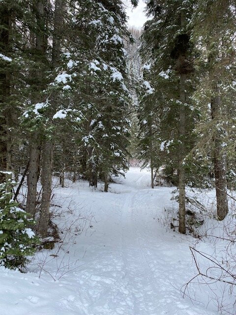 Skiumah Creek Trail景点图片