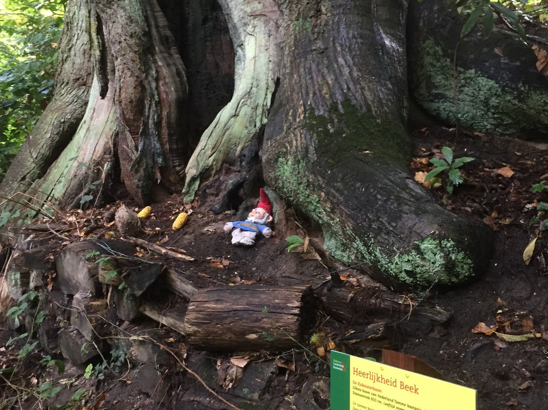 Wandelroute Heerlijkheid Beek-Berg en Dal必去景点