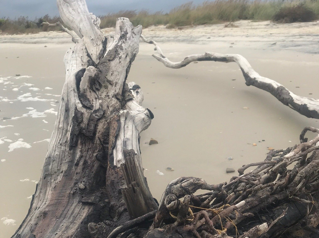 Grandview Nature Preserve-汉普顿必去景点