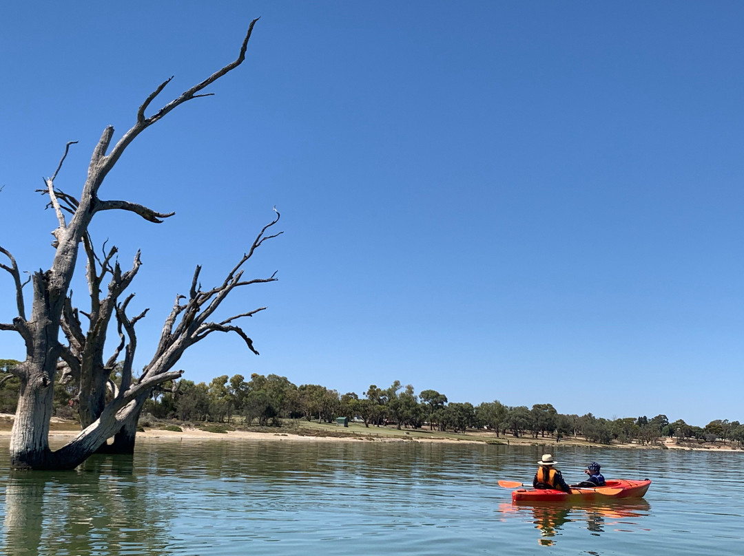 Canoe Adventures - Riverland-Berri必去景点
