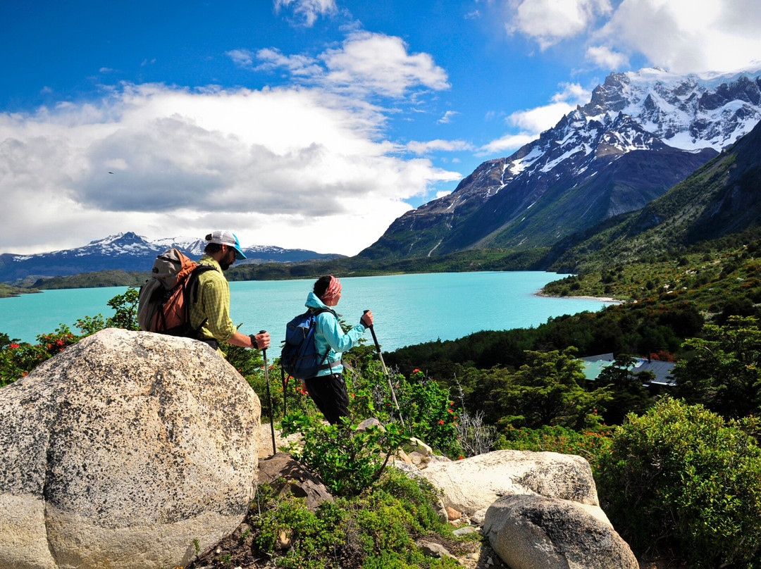 Cabañas Sector "los Cuernos" - Las Torres Patagonia