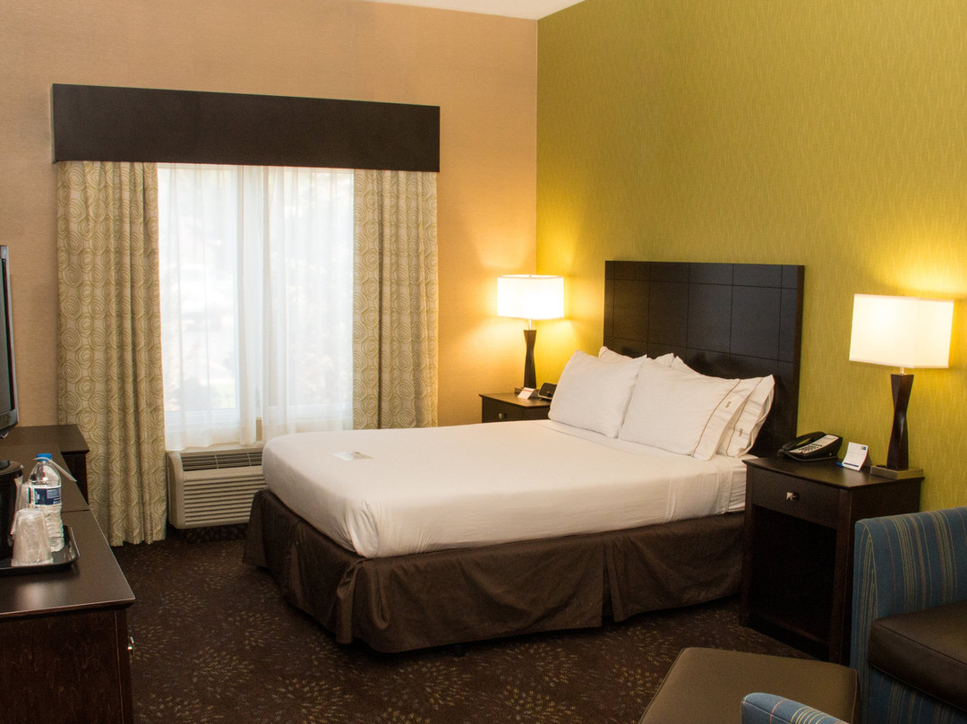 Holiday Inn Express & Suites Saginaw By IHG主图