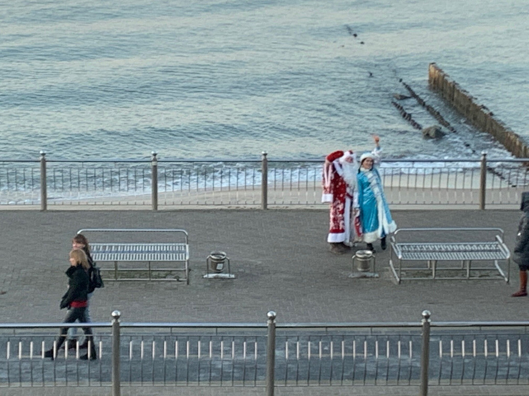 Exclusive Wild主图