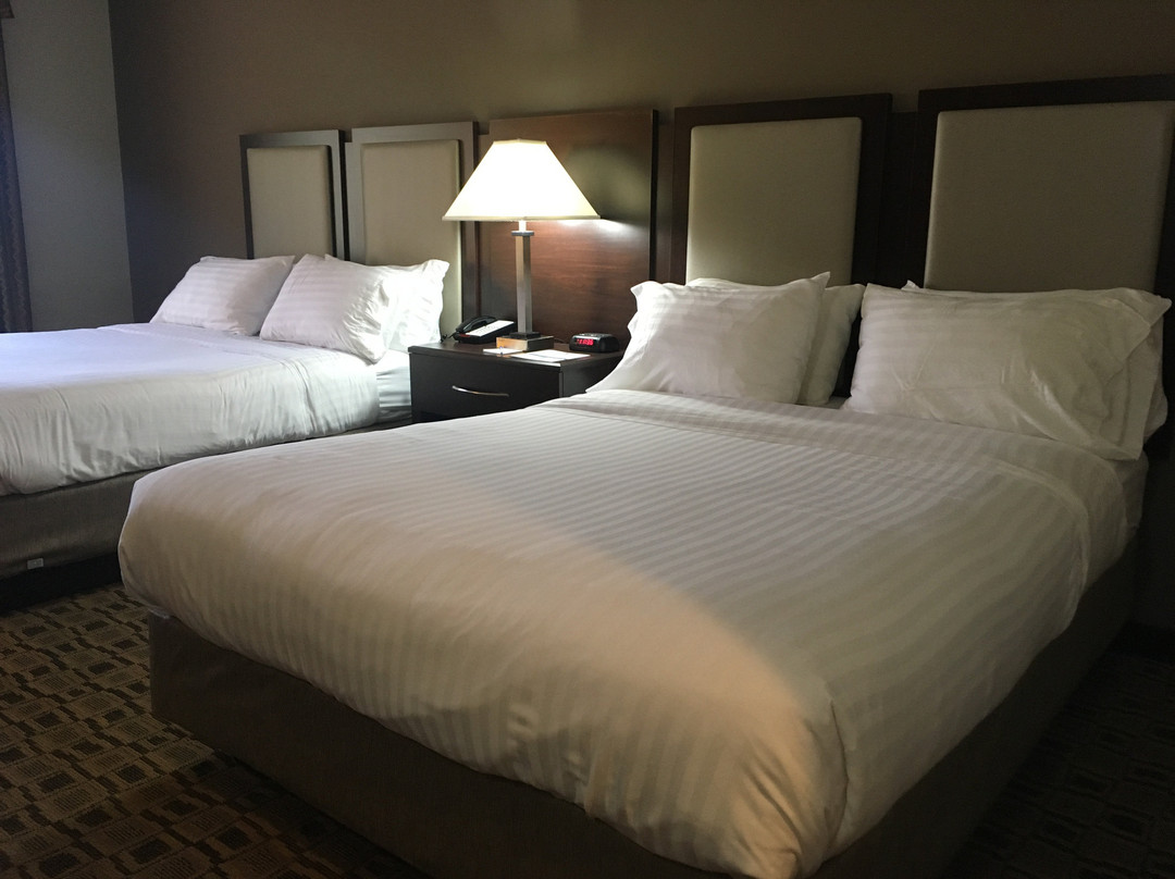 Holiday Inn Express & Suites Albemarle by IHG主图