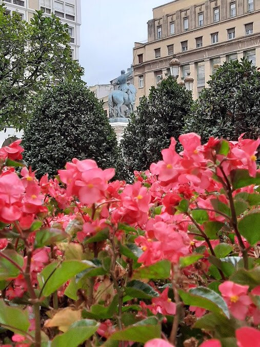 Plaça de Prim景点图片