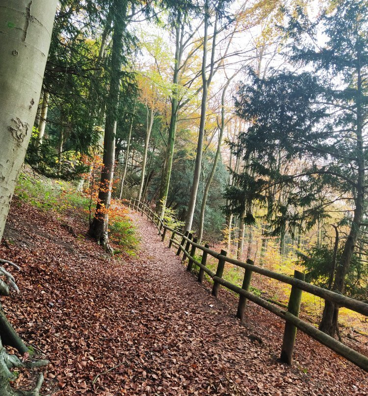 Queen Elizabeth Country Park-Horndean必去景点