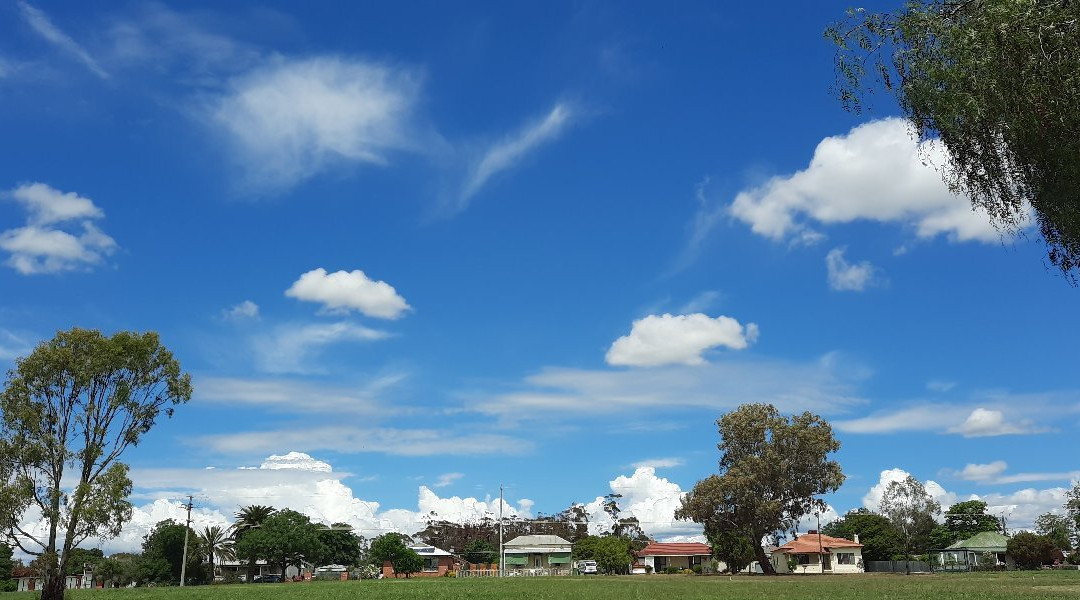 Rutherglen to Wahgunyah Rail Trail景点图片