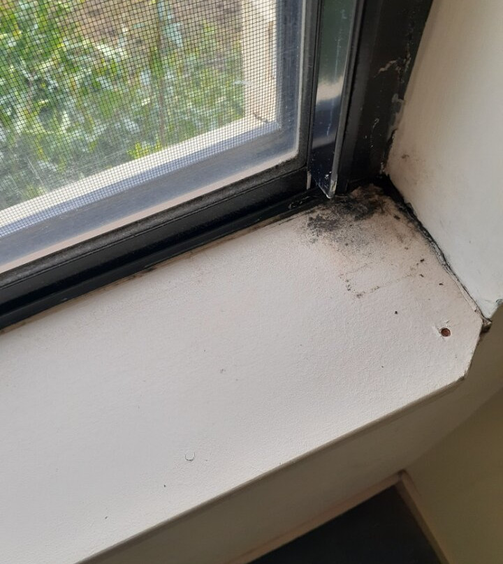 百斯特威斯登公园公寓酒店主图