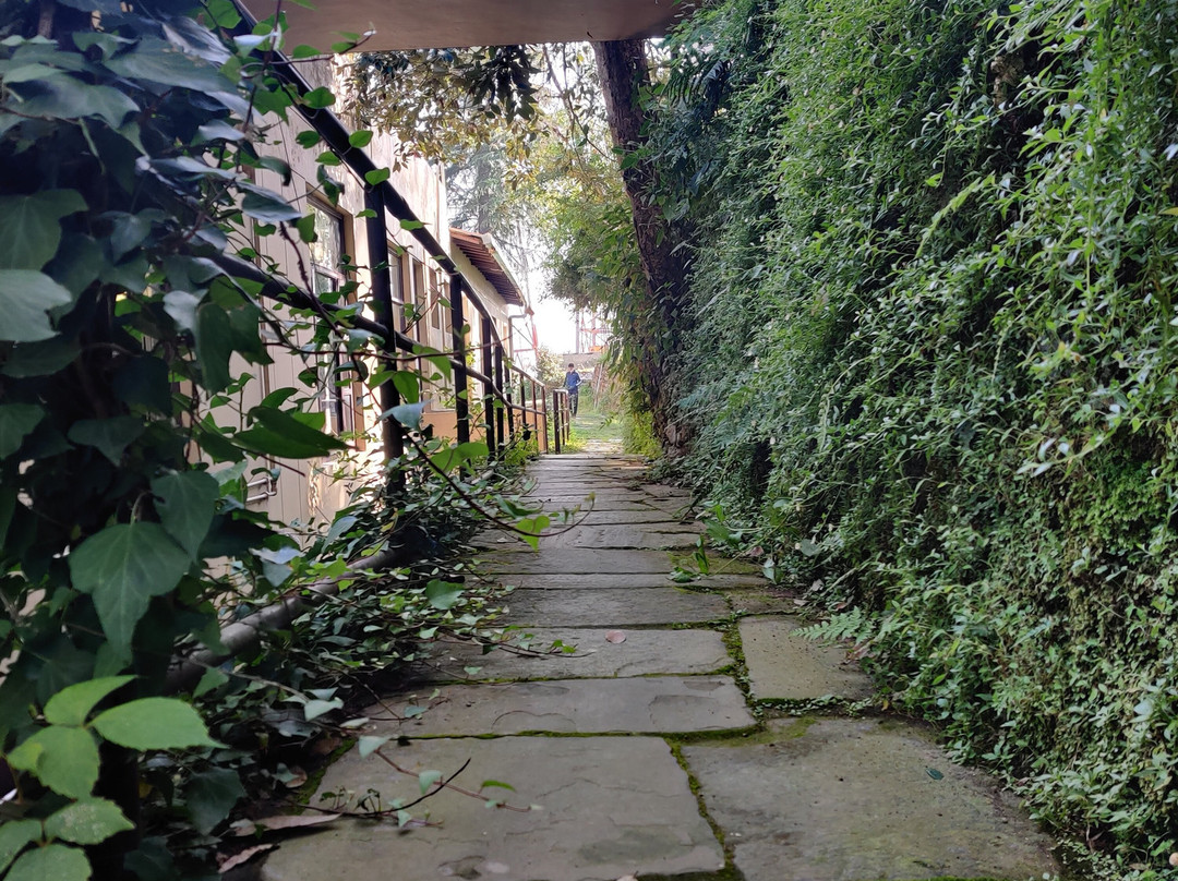 Kasaar Jungle Resort主图