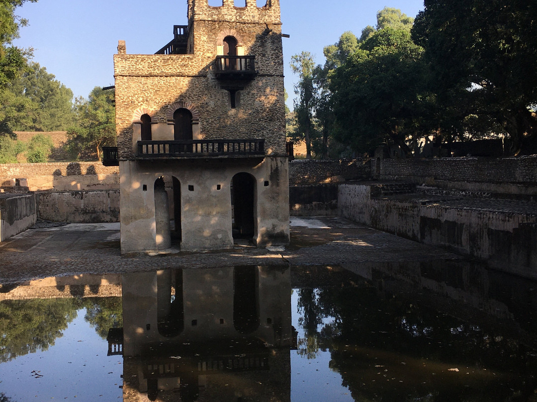 TIA Tours & Travel景点图片