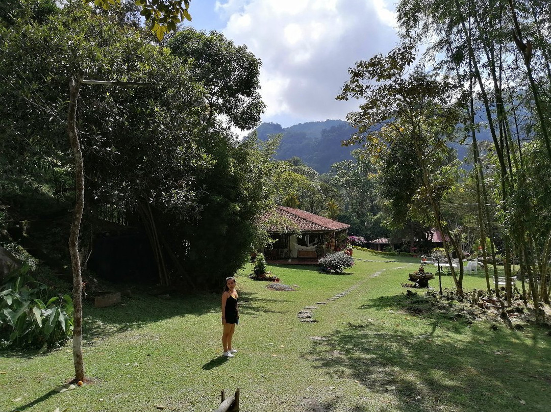 El Nilo Pance-Pance必去景点