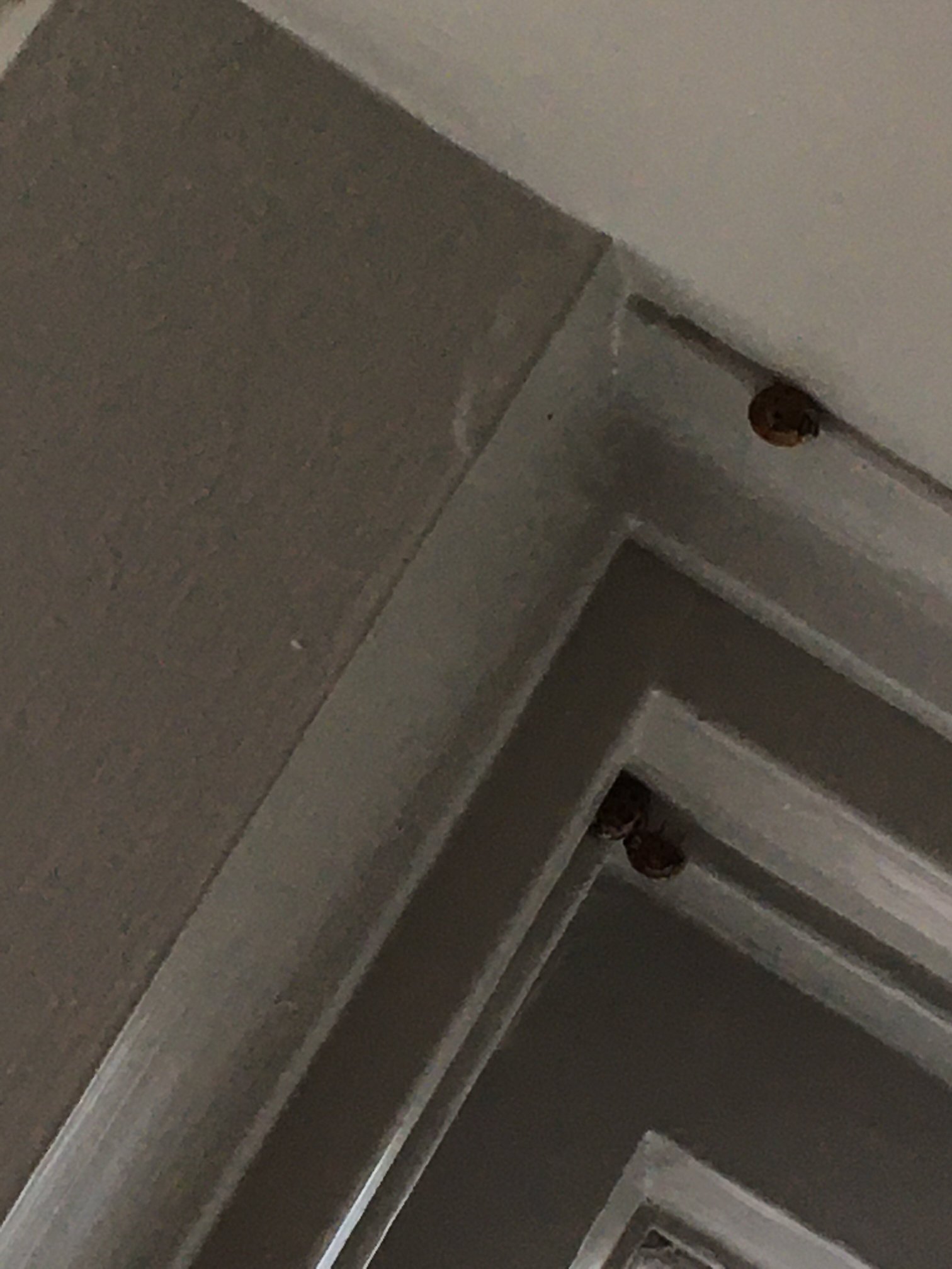 罗基加普赌场 & 度假村-portrait