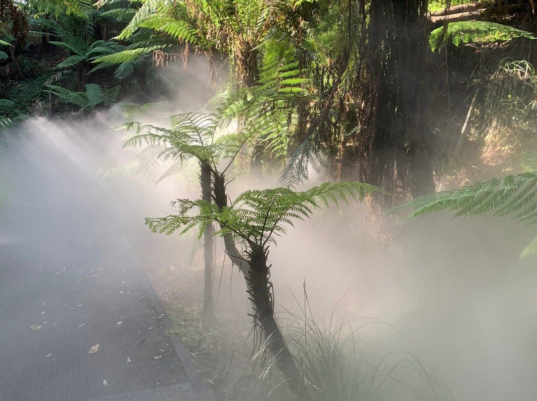 澳大利亚国家植物园景点图片