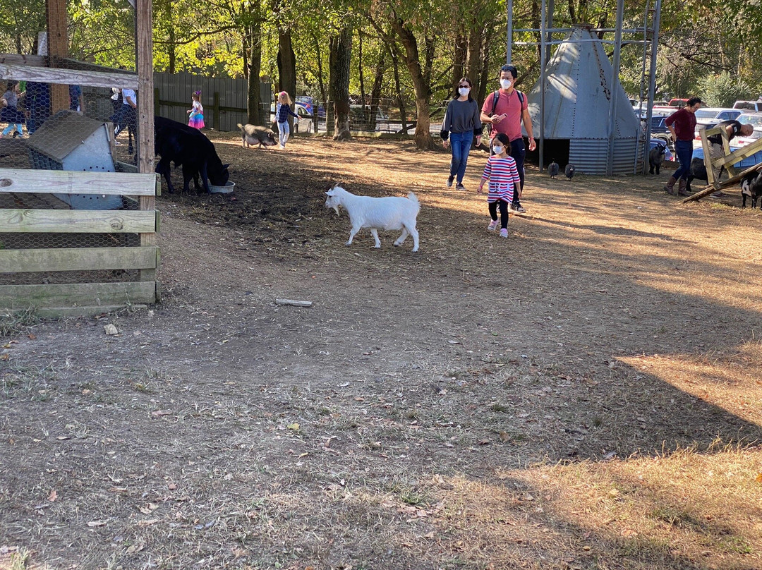 Reece Apple House-Ellijay必去景点