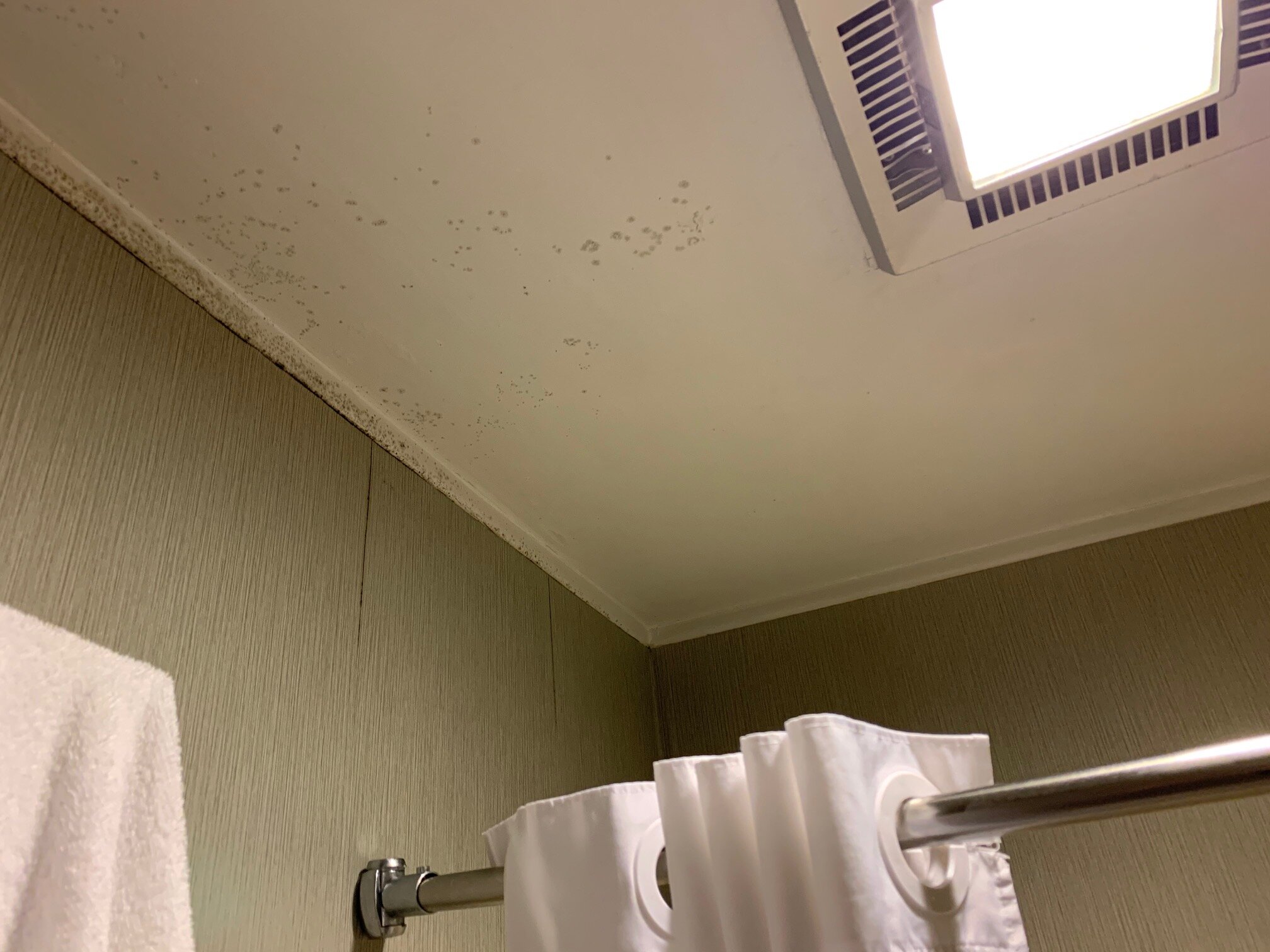 Quality Inn Cambridge-浴室