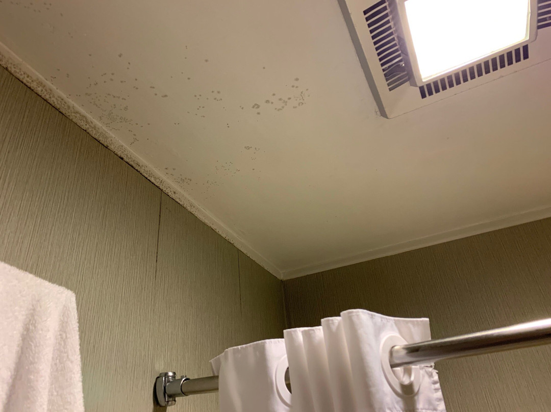 Quality Inn Cambridge主图