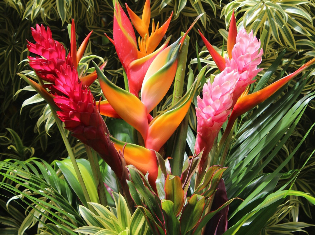 Hareesha Holiday Resort主图