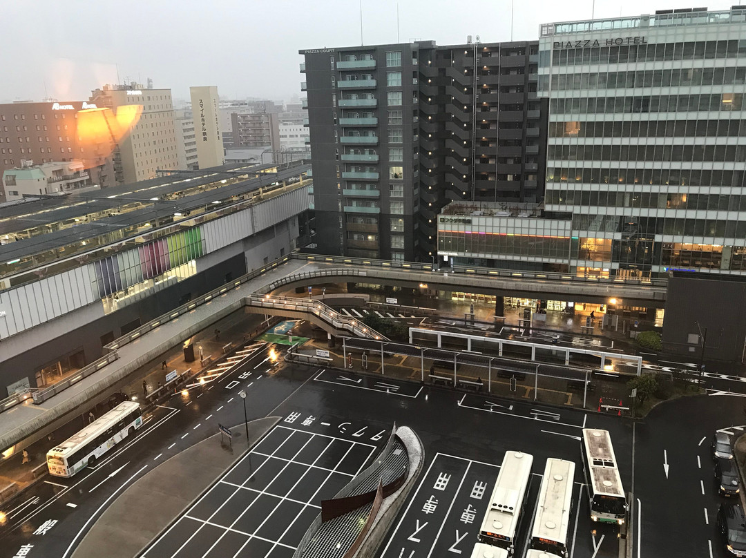 奈良日航酒店主图