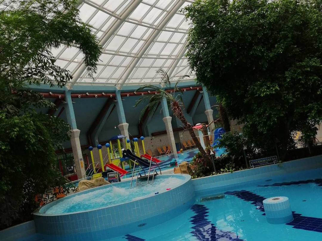 Aquaticum Debrecen Thermal and Wellness Hotel主图