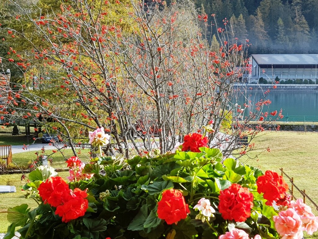 Villa Fridau resort-酒店景观