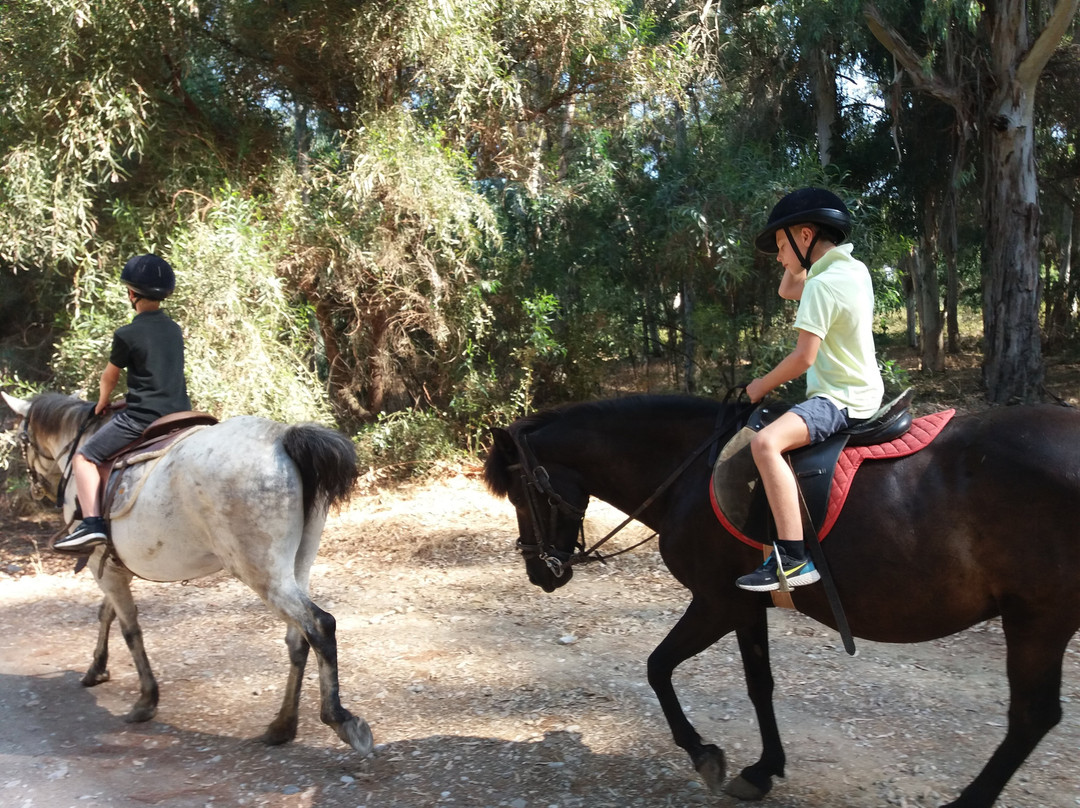 Jae Academy-Amaliada必去景点