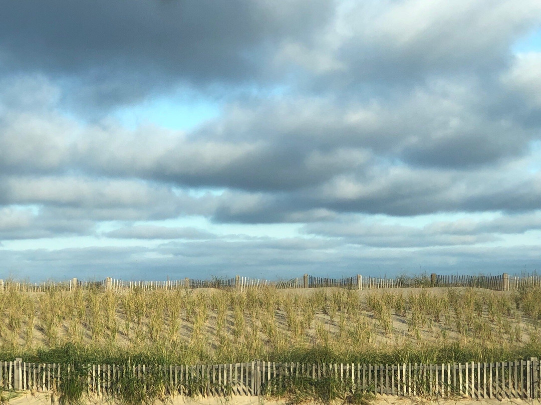 Nauset Beach景点图片