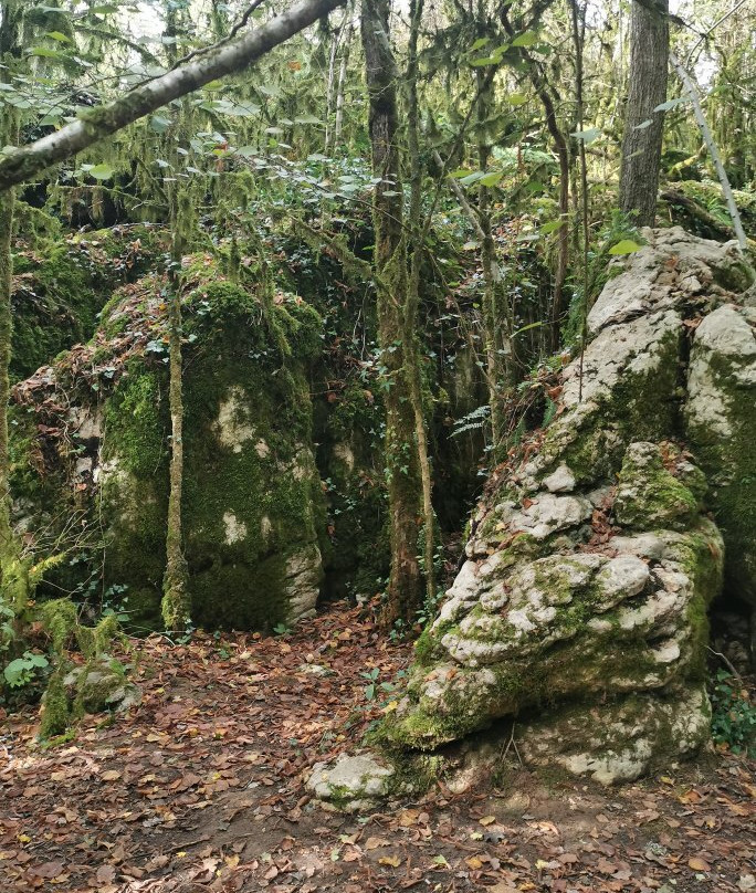 Le Labyrinthe Vert Nebias-Nebias必去景点