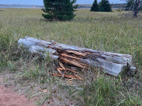 Braeshore旅游攻略图片