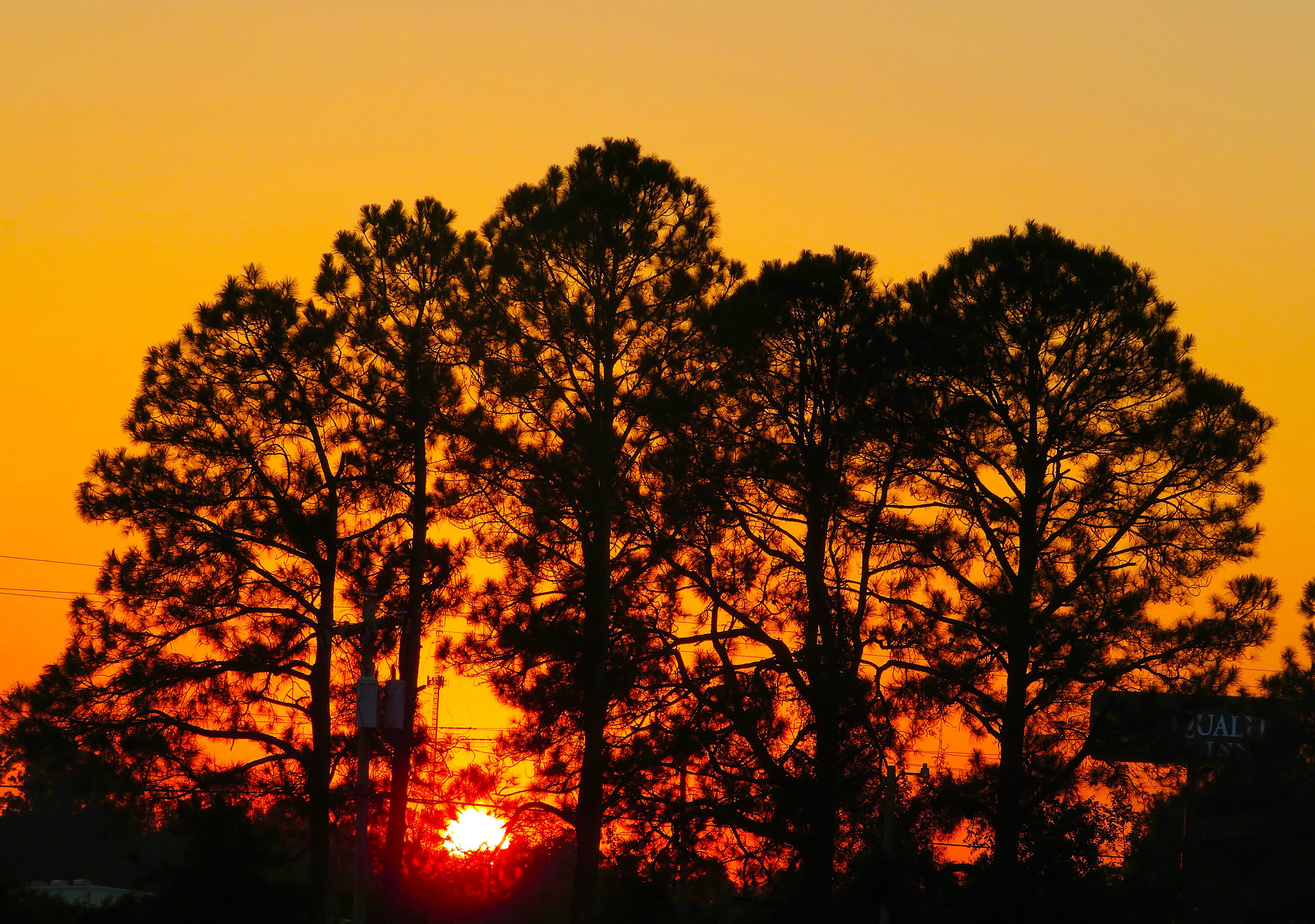 Super 8 by Wyndham Ocean Springs Biloxi-酒店景观