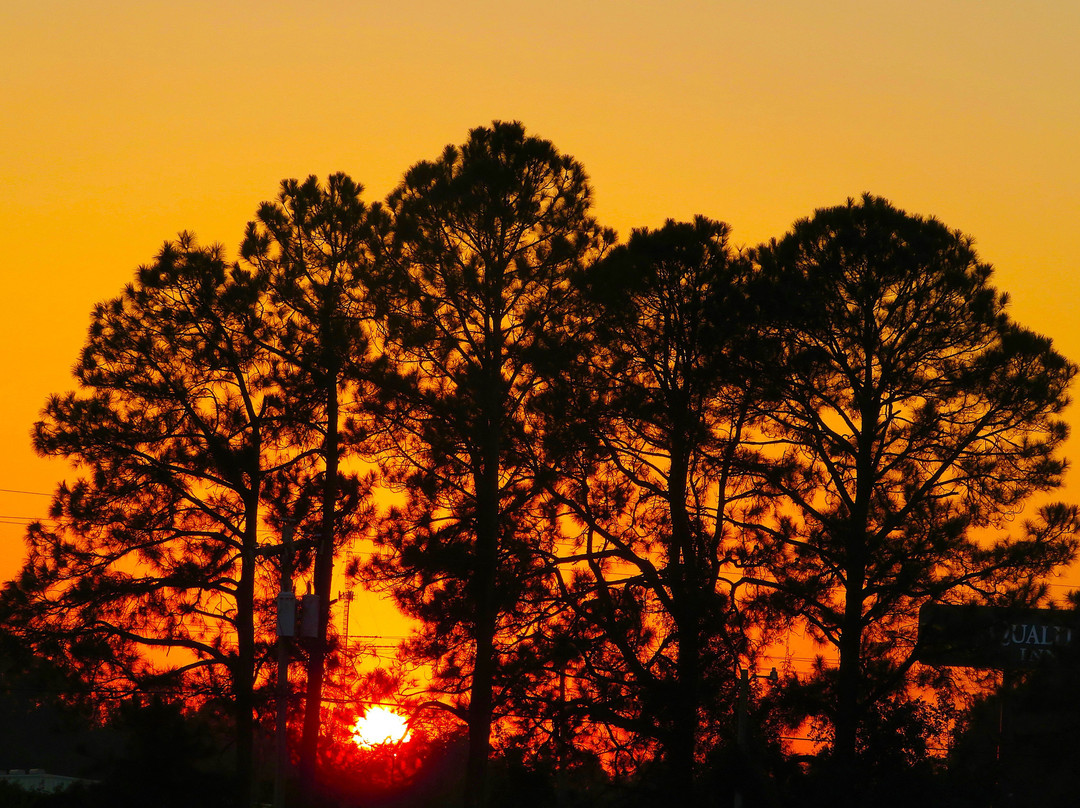 Super 8 by Wyndham Ocean Springs Biloxi主图