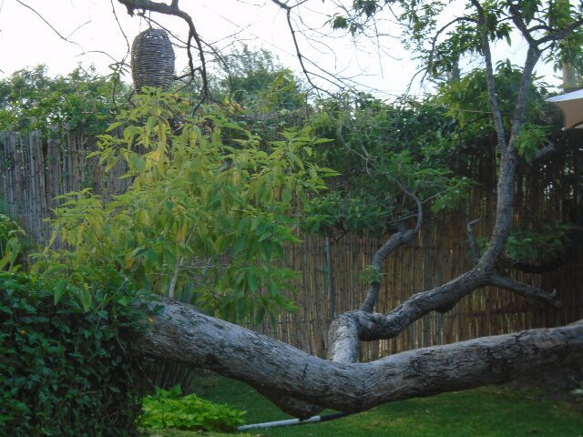 Villa Armonia Hotel & Spa主图