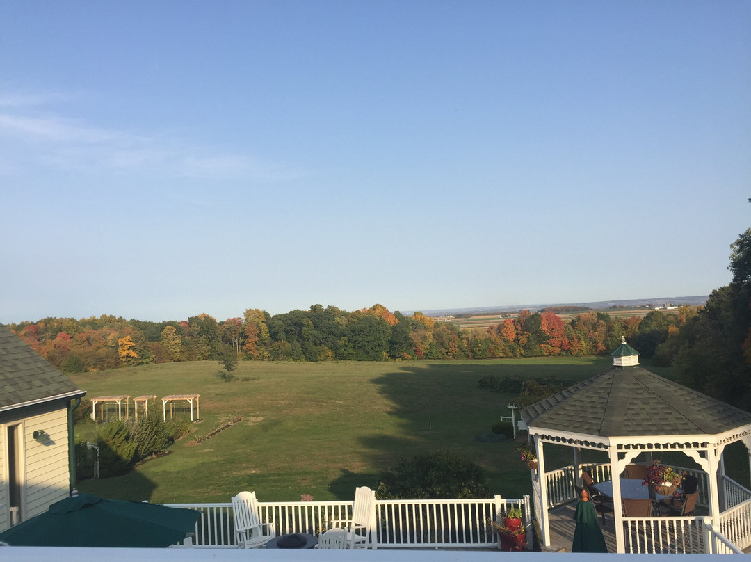 Los Gatos Bed & Breakfast主图