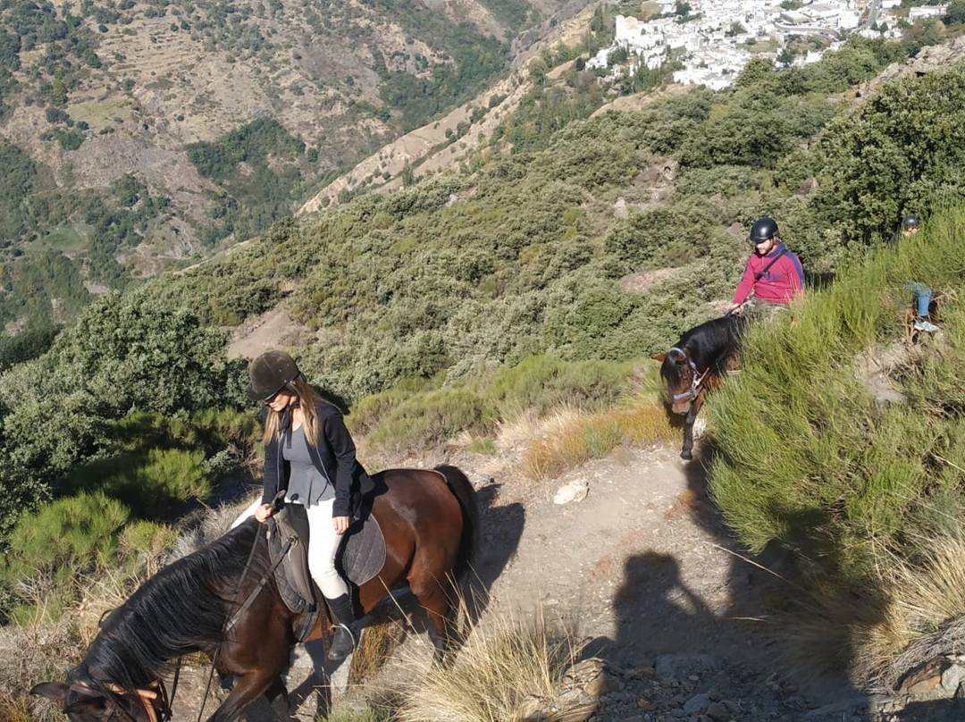 Riding Andalucia-布维翁必去景点