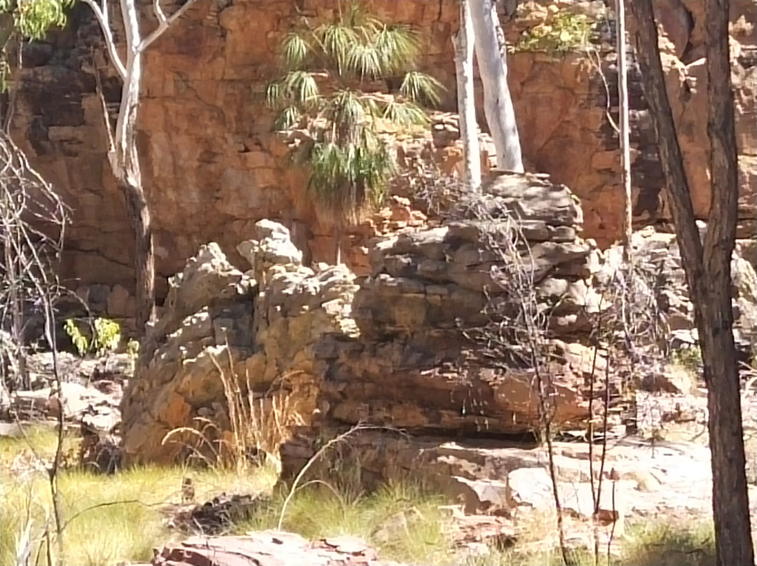 Caranbirini Conservation Reserve-Borroloola必去景点