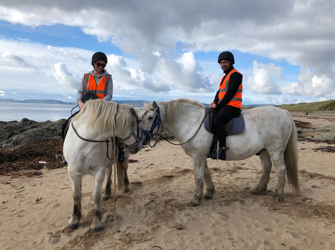 Cairnhouse Riding Centre景点图片