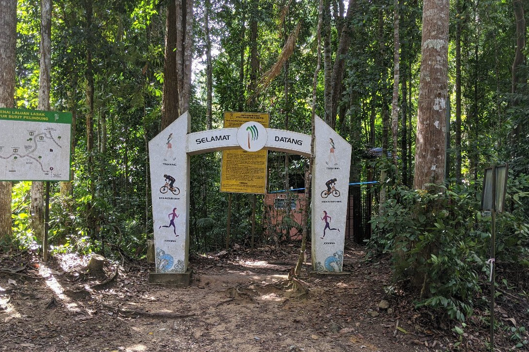 Bukit Pelindung Recreational Forest-关丹必去景点