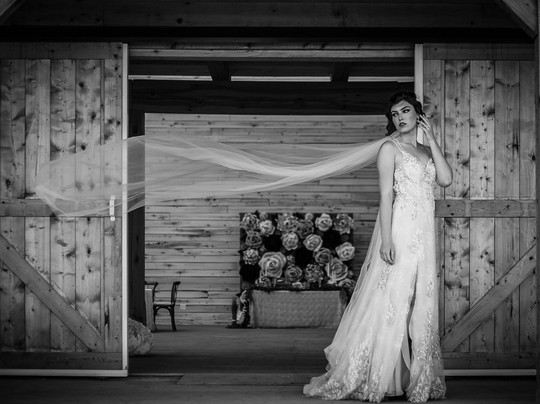 Deer Meadow Farms-温尼伯必去景点