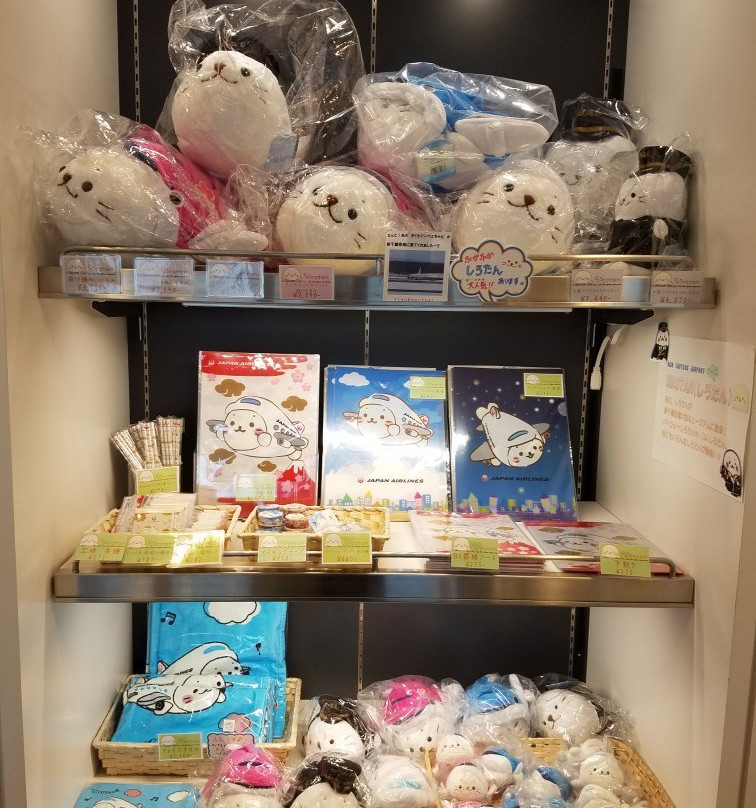 Sky Museum, New Chitose Airport-千岁市必去景点